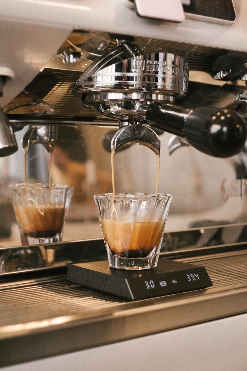 Making Espresso in a Professional Coffee Machine
